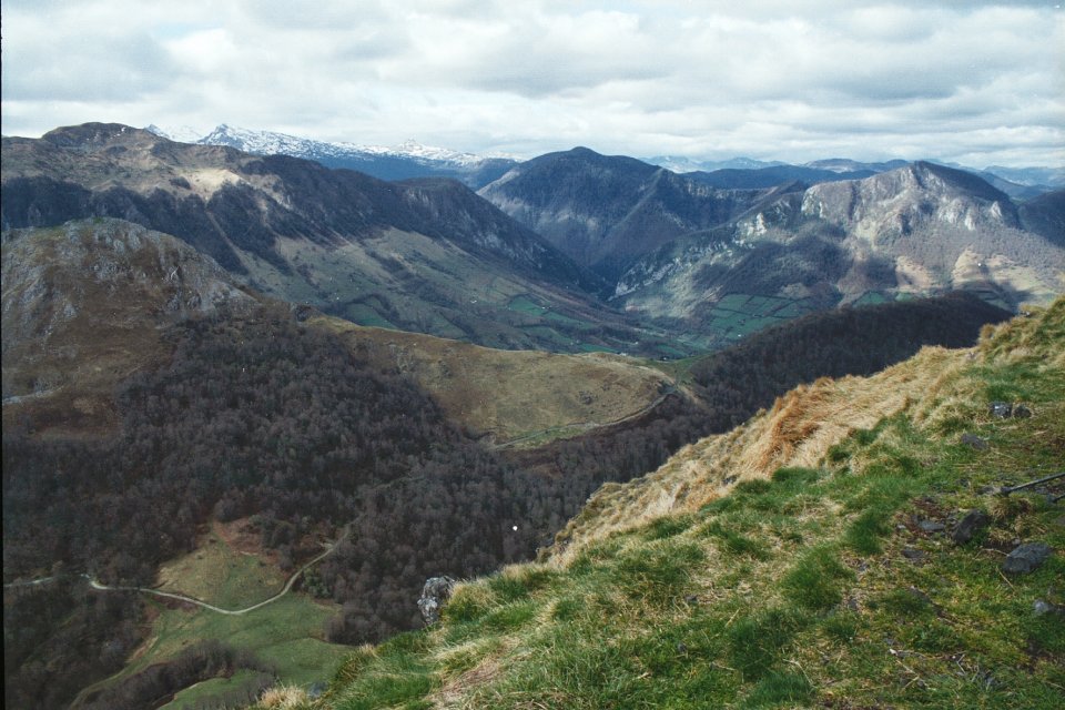 Trône du Roy Trône du Roy