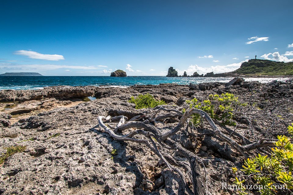 On voit notre objectif dès le début On voit notre objectif dès le début
