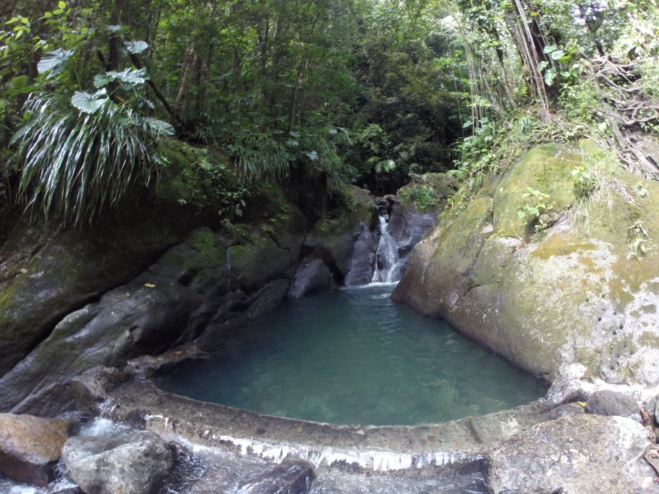Bassin bleu sur Basse-Terre en Guadeloupe Bassin bleu sur Basse-Terre en Guadeloupe