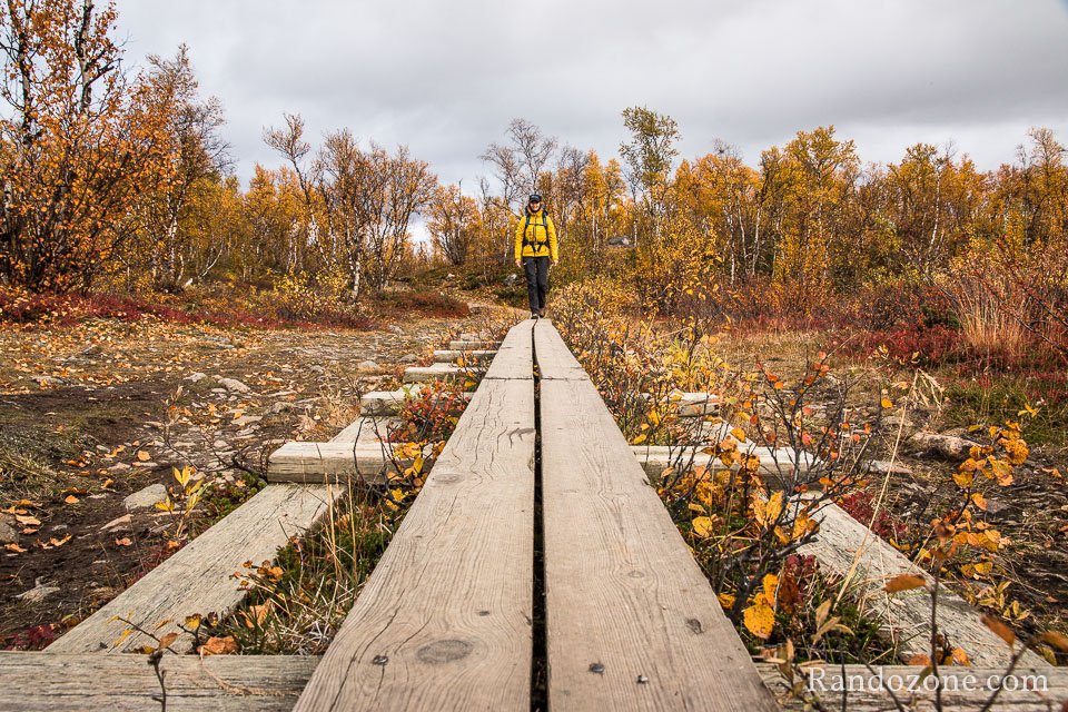 On traverse la zone humide On traverse la zone humide