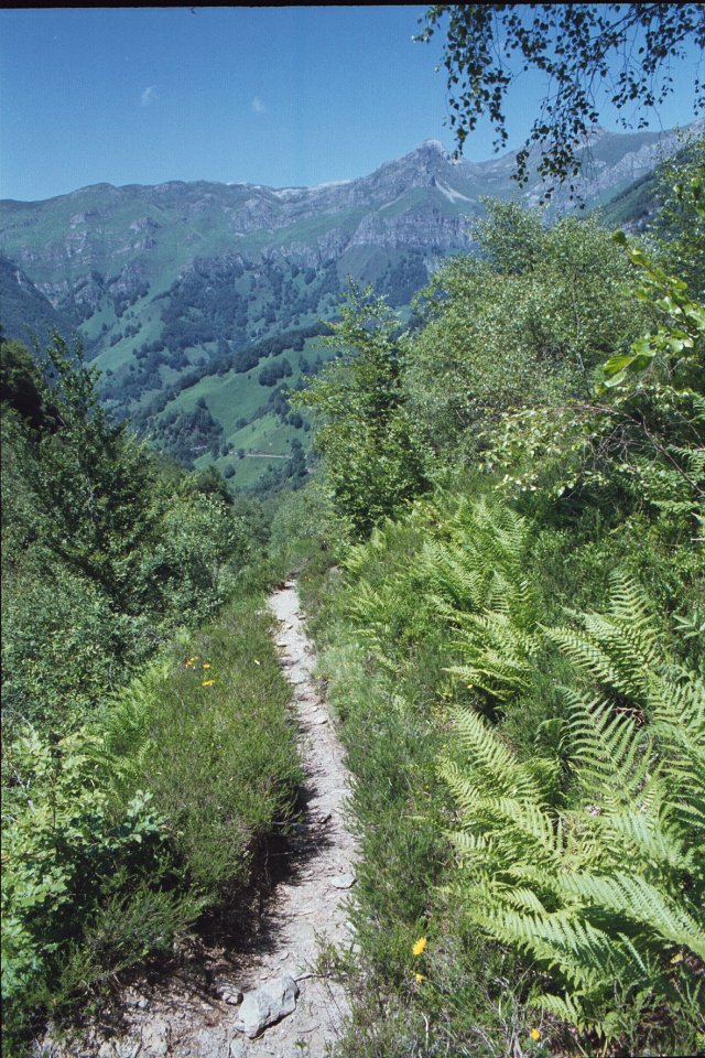 En redescendant du pic Lasnères En redescendant du pic Lasnères