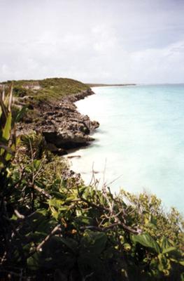 Mexique : Tulum Mexique : Tulum