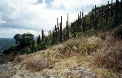 Mexique : Hierve El Agua Mexique : Hierve El Agua