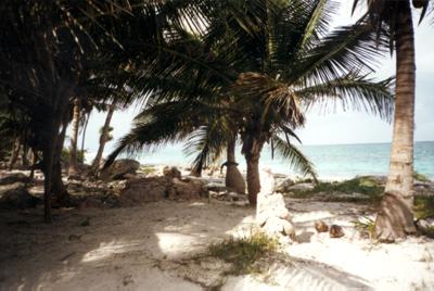 Mexique : Mexique Mexique : Mexique