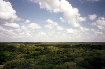 Mexique : Mexique Mexique : Mexique