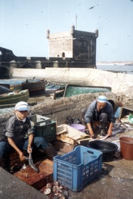 Maroc : Essaouira Maroc : Essaouira