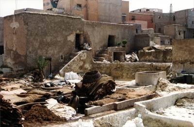 Maroc : Marrakech Maroc : Marrakech