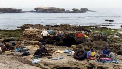 Maroc : Marrakech Maroc : Marrakech