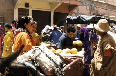 Maroc : Marrakech Maroc : Marrakech