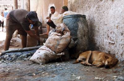 Maroc : Marrakech Maroc : Marrakech