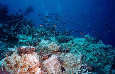 Réunion : La Réunion Réunion : La Réunion