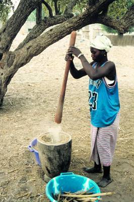 Sénégal : Préparation du mil Sénégal : Préparation du mil