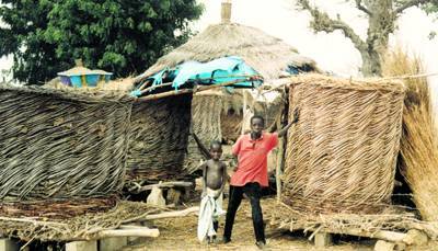 Sénégal : Réserve de mil Sénégal : Réserve de mil