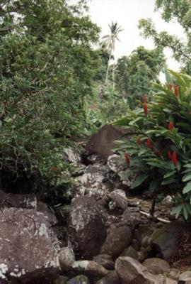 Guadeloupe : Guadeloupe Guadeloupe : Guadeloupe