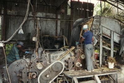 Guadeloupe : Guadeloupe Guadeloupe : Guadeloupe