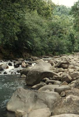 Guadeloupe : Guadeloupe Guadeloupe : Guadeloupe