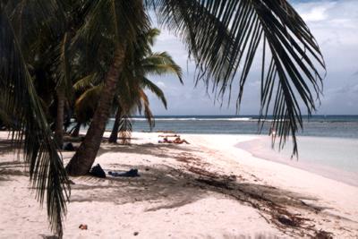 Guadeloupe : Guadeloupe Guadeloupe : Guadeloupe