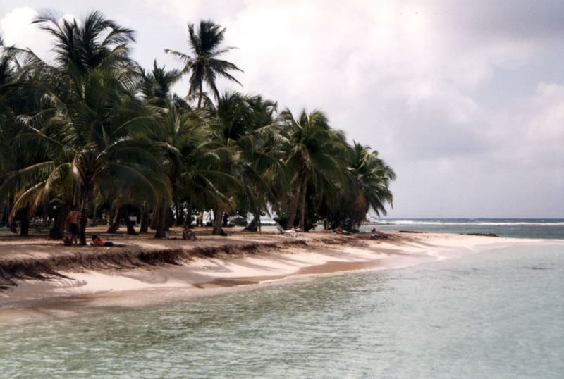 Guadeloupe : Guadeloupe Guadeloupe : Guadeloupe