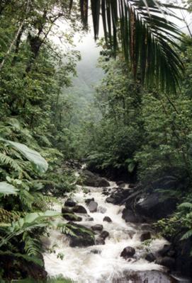 Guadeloupe : Guadeloupe Guadeloupe : Guadeloupe