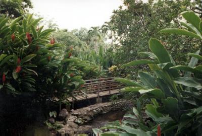 Guadeloupe : Guadeloupe Guadeloupe : Guadeloupe