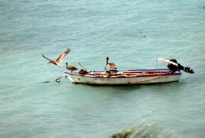 Guadeloupe : Guadeloupe Guadeloupe : Guadeloupe