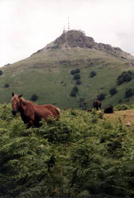 France : Pays Basque France : Pays Basque