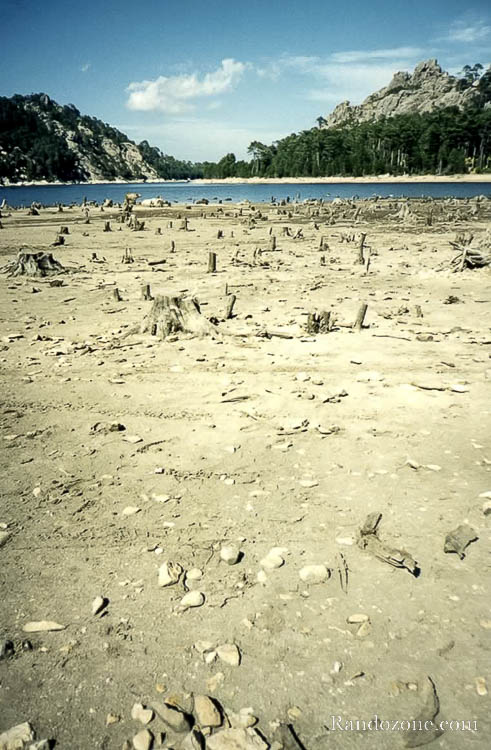 Corse : Lac de L'Ospédale et ses troncs coupés Corse : Lac de L'Ospédale et ses troncs coupés