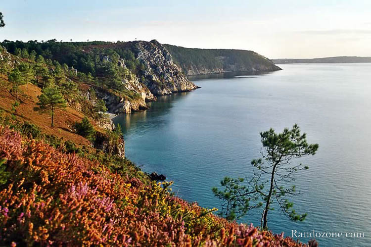 France : France France : France