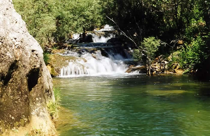 France : France France : France