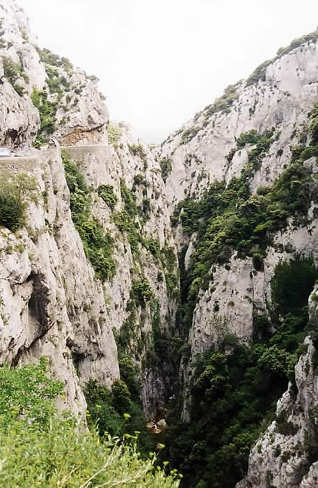 France : France France : France