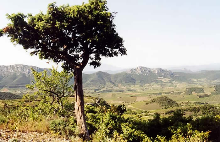 France : France France : France