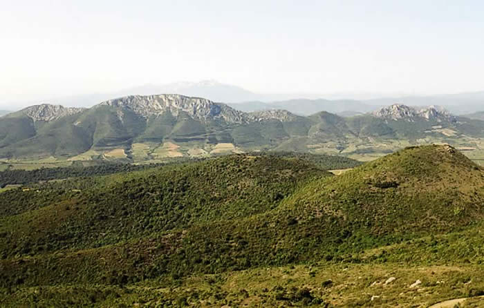 France : France France : France