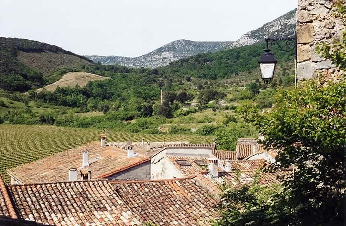 France : Toits et vignes dans les Cévennes France : Toits et vignes dans les Cévennes