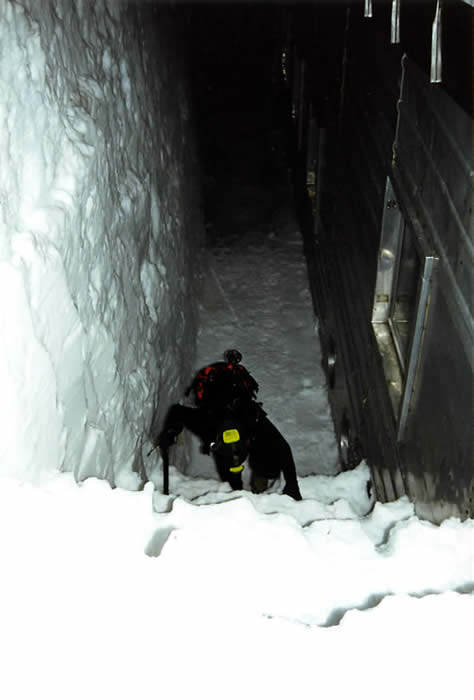 France : Sortie du refuge France : Sortie du refuge