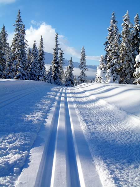 Norvège : Paysage de Norvège Norvège : Paysage de Norvège