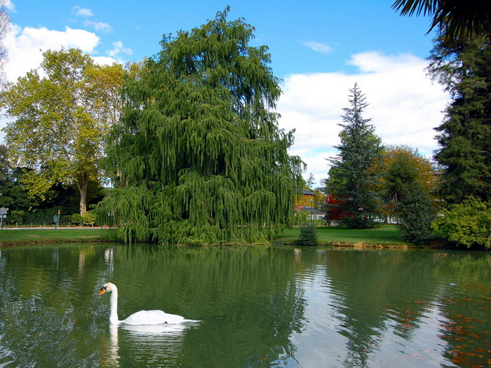 France : PARC BEAUMONT DE PAU France : PARC BEAUMONT DE PAU