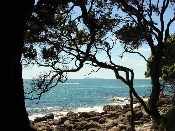 Nouvelle Zélande : Mt Maunganui Nouvelle Zélande : Mt Maunganui